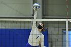 VB vs ENC  Wheaton College Women's Volleyball vs Eastern Nazarene College. - Photo By: KEITH NORDSTROM : Wheaton, volleyball, VB, Eastern Nazarene College